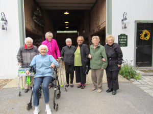 Luina Greine Farms - Alpaca tours for seniors